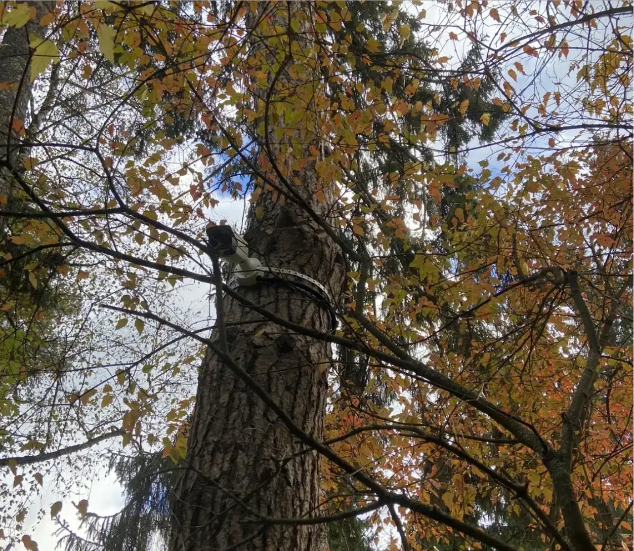 Video nadzor radovi 4